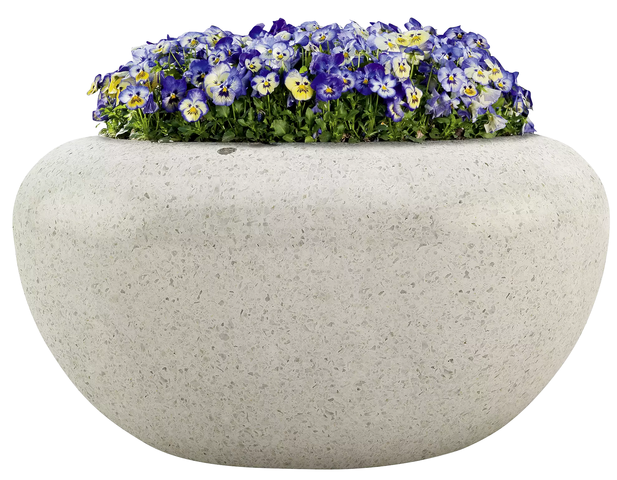 Vorschau: Pflanzbehälter VENERE Vorschau: Pflanzbehälter VENERE